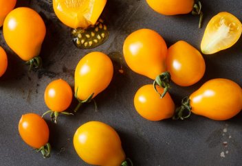 Қызанақтың жаңа сорты: дәмі бал татиды