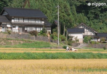 Күншығыс еліндегі ауылдық жердің көрінісі (видео)