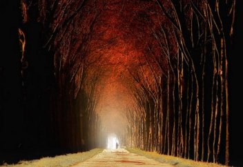 Вера в предопределение