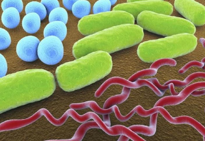 Жасушаны зақымдап алмай бактерияны жоятын жаңа нанотехнология пайда болды