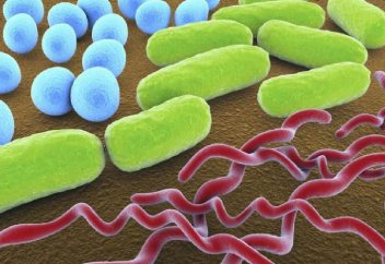 Жасушаны зақымдап алмай бактерияны жоятын жаңа нанотехнология пайда болды