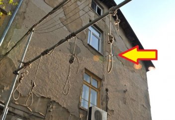 Сириялық босқындарға дар ағашы құрылды