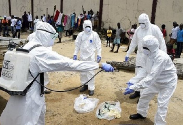 Эбола безгегін Чикунгунья вирусы алмастыруы мүмкін