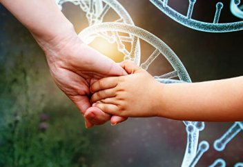 Гендік терапия көмегімен тышқанның ғұмыры ұзартылды