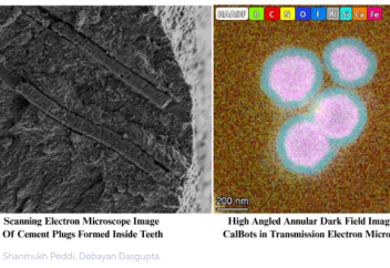 Тісті емдейтін нанороботтар жасалды