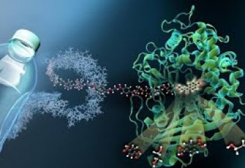 Пластикті бір тәулікте жоқ қылатын фермент табылды