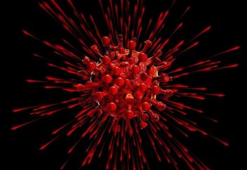 Тәжді тажалдың қанша градуста өлетіні анықталды