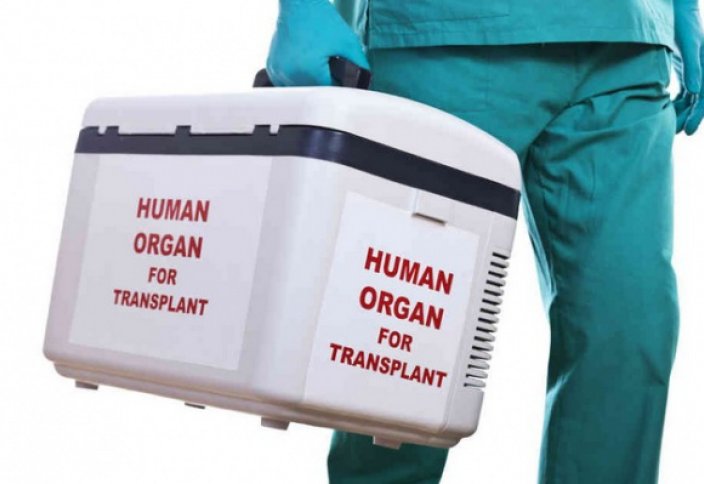 Арабтар ағзаны ауыстыруды заңдастарды