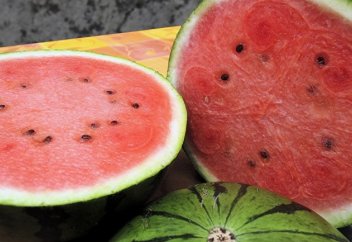 Sözcü (Турция): польза и секреты выбора арбуза