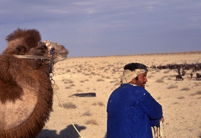 «Великие пески наследия»: Туранские пустыни могут включить в список ЮНЕСКО