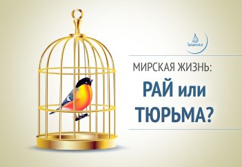 Мирская жизнь: Рай или Тюрьма?