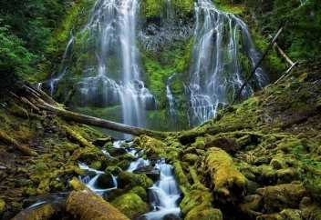 Человечество лишилось 25% дикой природы за 10 лет – ученые