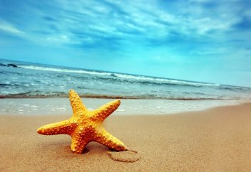 Қазақстандықтарға шетелде және елімізде демалыс қымбаттай түсті