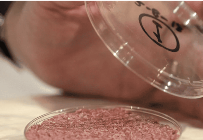 COP28 и мясо, выращенное в лаборатории. Халяль?