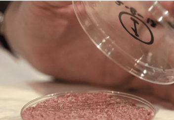 COP28 и мясо, выращенное в лаборатории. Халяль?