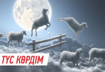 Адам неге түс көреді? Жаңа гипотеза пайда болды