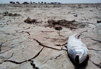 Иран и Афганистан достигли соглашения по водному праву на приграничных участках