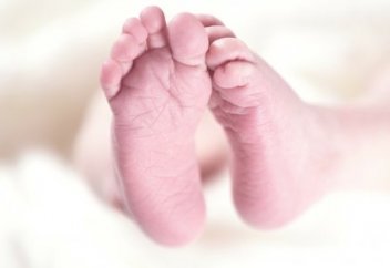 Ұрық ДНК-сына тәжірибе жасауға тыйым салынды