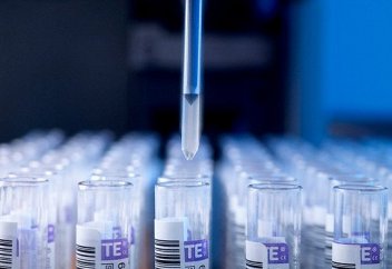 Банан ақуызынан жасалған дәрі вирустарға төтеп бере алады