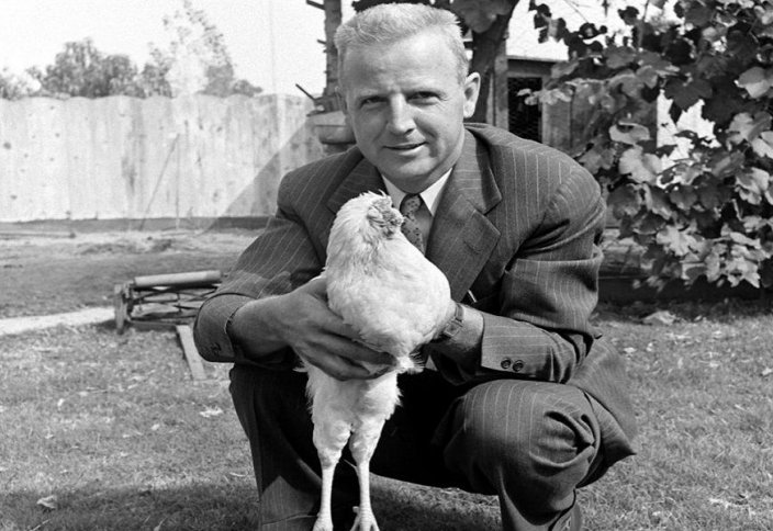 Басын жұлса да өлмеген балапан