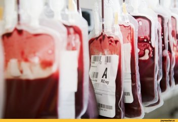 Донорлардың қаны заңсыз сатылып, шекара асып жатыр