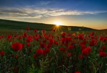 Жиі терлейтін болсаңыз