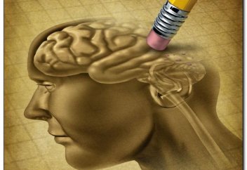 Деградация мозга — читать ВСЕМ!