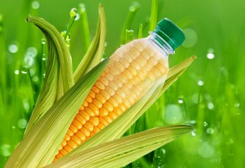 Қауіпсіз деген биопластик құрамынан зиянды химикаттар анықталып жатыр