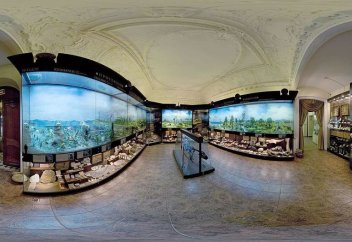 Первый в Казахстане виртуальный музей презентовали в Талдыкоргане