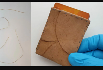 Ғалымдар былғарыны, жіп пен қағазды саңырауқұлақтан жасалған материалмен алмастырудың жолын тапты (видео)