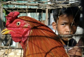 «Я не робкого десятка, но это пугало даже меня»