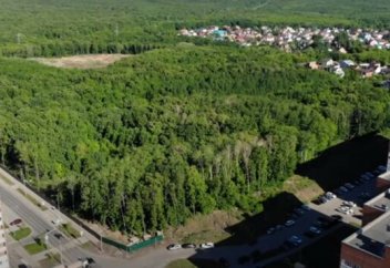 Қала маңындағы орман өркениеттен шалғай орманға қарағанда көмірқышқыл газын көп сіңіреді