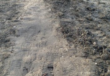 В Германии назвали главную мировую угрозу