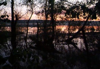 Адамзаттың 5/1 бөлігі жердің шөгуінен зардап шегеді