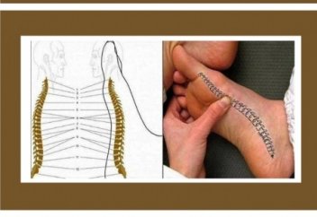 Массаж стопы снимает боли в спине!