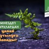 Мінездегі аурулардан қалай құтылуға болады?