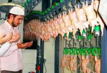 В Азербайджане открыто первое предприятие по производству «халяльной» продукции