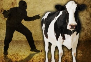 Ұрлыққа қарсы жаза қатайды