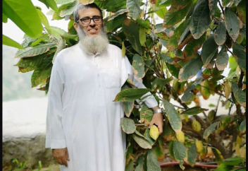 Араб жерінде тұңғыш рет какао өсірілді