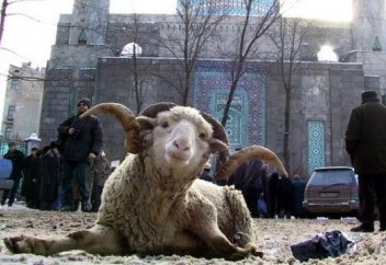 Құрбан айтта он күн демалады