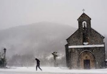 Бір ғана мұсылман емес елде халал сертификатына ие 500 кәсіпорын ашылған