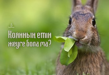 Қоянның етін жеуге бола ма?