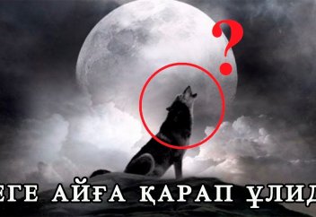 Қасқырлар неге Айға қарап ұлиды?
