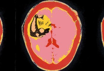 Билік адамның миын өзгертеді