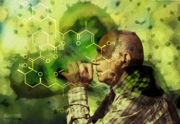 Алжу да жұқпалы дерт болып шықты