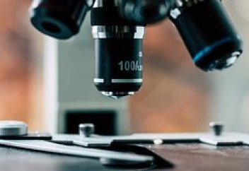 Антибиотикке төзімді микробтарға қарсы полимер жасалды