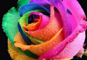 Жығылып жатып, жеңіске қадам