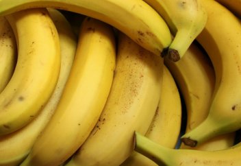 Бананы научились растить в Туркестанской области (видео)