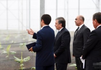 Өзбекстан банан өсіре бастады