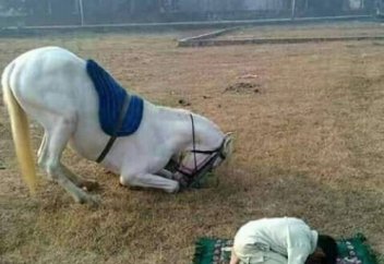 Секреты суджуда